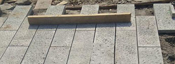 行业动态 行业动态